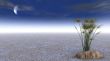 3d scene