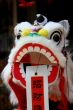 Chinese New Year Dragon Puppets