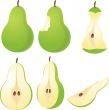 Pear Illustration
