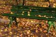 Autumn bench