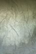 Grunge Paper