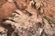 rock