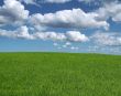 gorgeous landscape