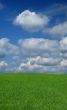 idyllic summer scenery