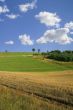 idyllic summer scenery