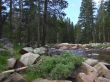 Torrent flow in Yosemite Park