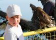 boy against a hawk