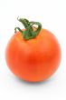 gorgeous tomato