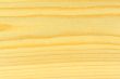 bright pine wood texture