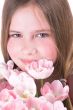 Behind the pink tulips