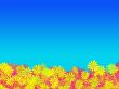 Yellow flowers on blue background