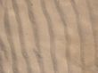 rippled sand