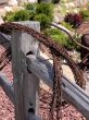 Rusted wire on fence