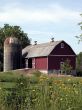 Barn with yellow flowers