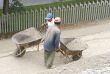 Blue Collar Workers