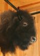 Buffalo Head Trophy