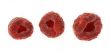 three raspberries on white
