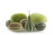 Green calabashes