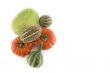 composition of pumpkins