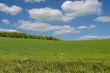 summer landscape