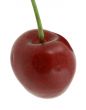 sweet cherry