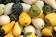 Different gourds.