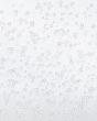 Clear Bubbling Soda Background