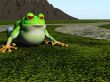frog cartoon