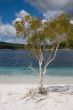 Lake McKenzie