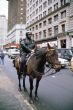 Police on Horse