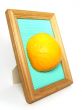 Orange in the frame