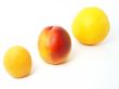 apriocot nectarine orange in line