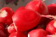 macro of peeled moist radishes