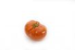 Red tomato