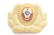 cockade