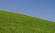 perfect meadow with clear sky