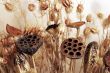 Dry Flowers