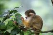 Cute little fellow