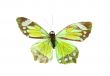 artificial butterfly on white background