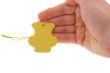 hand holding an empty tag