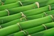 bamboo background