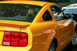 New Sports Car