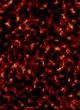fire background