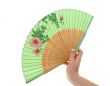 female hand with decorated fan