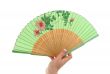 female hand with decorated fan