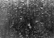 Raindrops