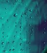 Droplets