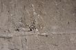 Concrete