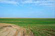 Green Field