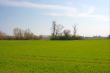 Field